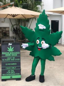 Ganja Weed Mascot Costume