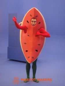 Watermelon Juicy Fruit Promotional Costume