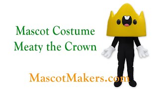 Meaty Mascot Costume for Metafy, CT, USA