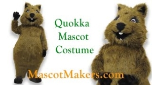 Quokka mascot Costume for Keely Johnson Music Australia