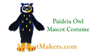 Owl Mascot Costume for Paideia Academies in Phoenix, AZ