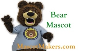 Bear Mascot Outfit